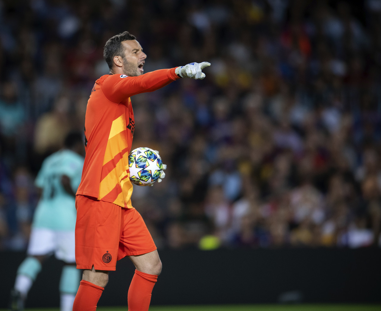 己的决心 己的决心