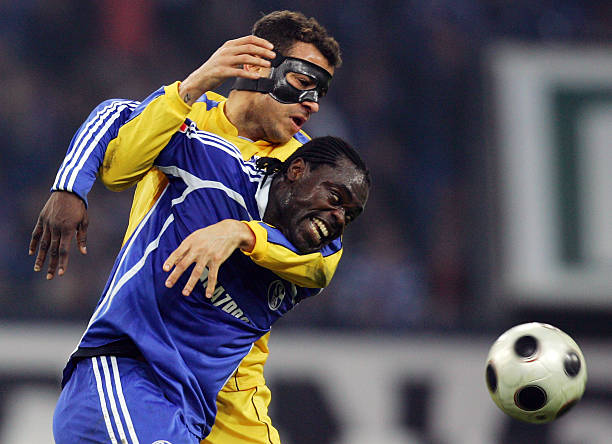 莱山区飞鱼 莱山区飞鱼