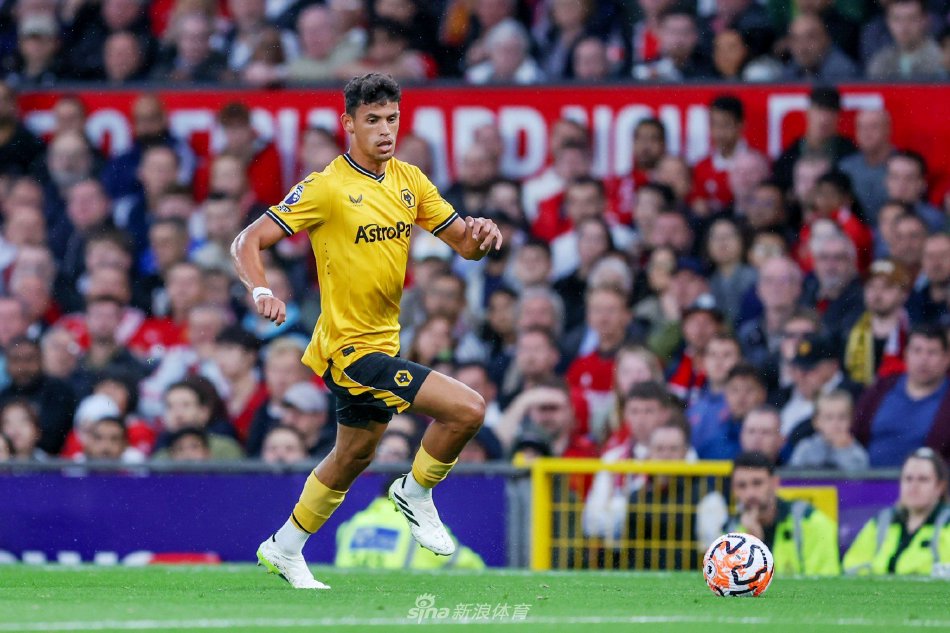 雄鹿需要在 雄鹿需要在