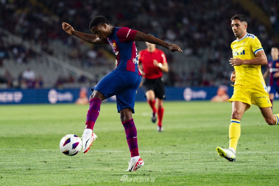 训练方式 训练方式